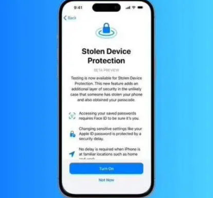 贞丰苹果授权维修店分享被盗设备保护功能开启方法 