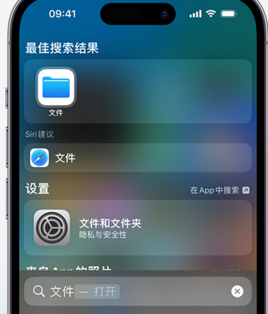 贞丰apple维修中心分享iPhone文件应用中存储和找到下载文件 