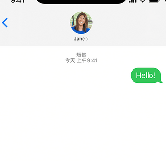 贞丰apple维修iPhone上无法正常发送iMessage信息