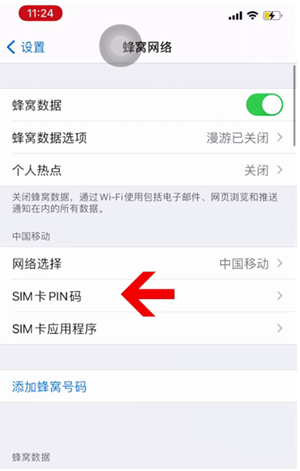 贞丰苹果14维修网分享如何给iPhone14的SIM卡设置密码 