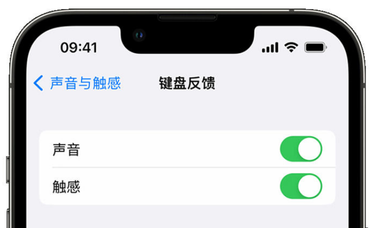 贞丰苹果手机维修分享iPhone 14触感键盘使用方法 