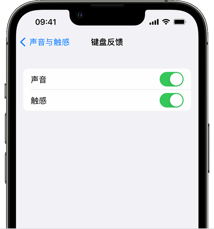 贞丰苹果14维修店分享如何在 iPhone 14 机型中使用触感键盘 