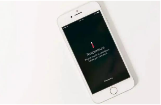 贞丰苹果手机维修分享iPhone 手机发热如何快速降温 