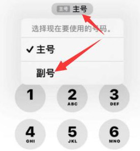 贞丰苹果14维修店分享iPhone 14 Pro Max使用副卡打电话的方法 