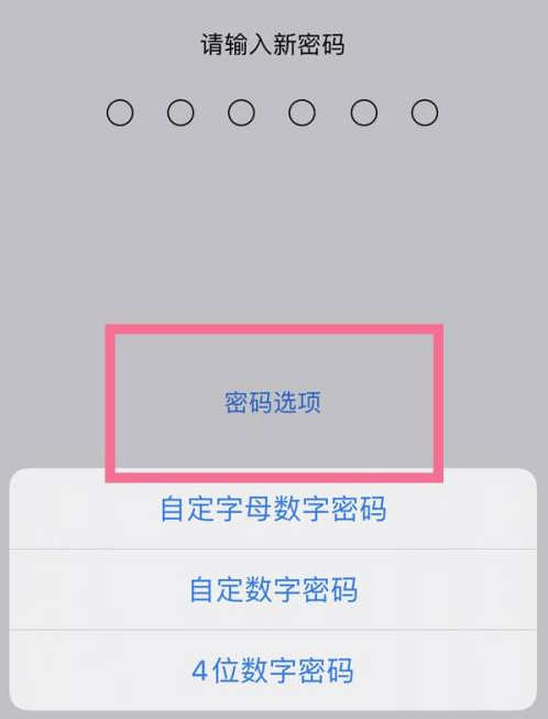 贞丰苹果14维修分享iPhone 14plus设置密码的方法 