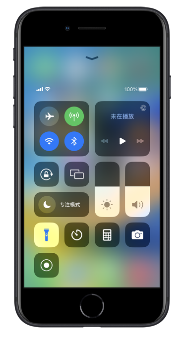 贞丰苹果14维修分享苹果iPhone 14 Pro手电筒开启方法 