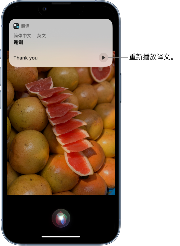 贞丰苹果14维修分享 iPhone 14 机型中使用 Siri：了解 Siri 能帮你做什么 