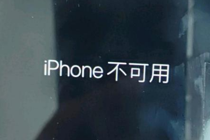 贞丰苹果服务网点分享锁屏界面显示“iPhone 不可用”如何解决 