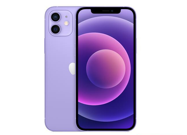 贞丰苹果手机维修分享现阶段要不要入手紫色版iPhone12 
