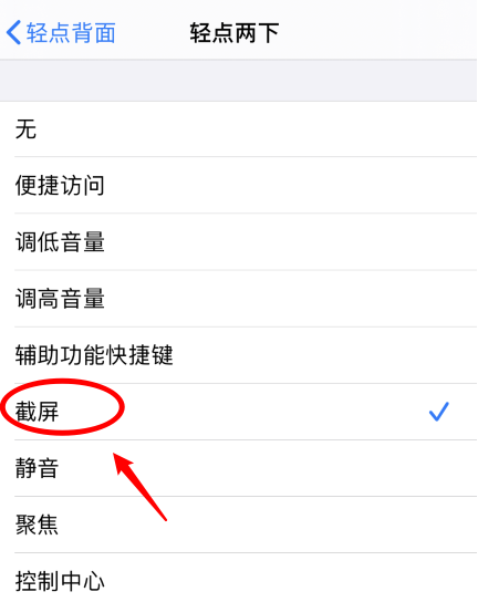 贞丰苹果手机维修分享iPhone12如何启用双击截屏 