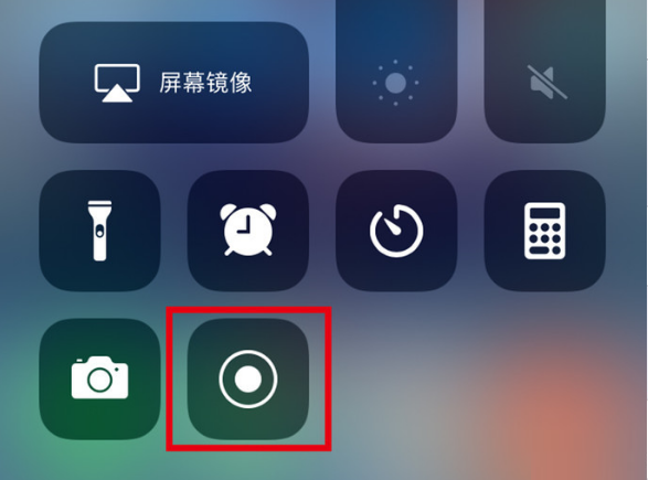 贞丰苹果手机维修分享iPhone12录屏方法教程 