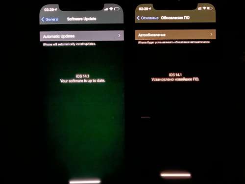 贞丰苹果手机维修分享iPhone 12 显示黑色画面时发绿光怎么办 