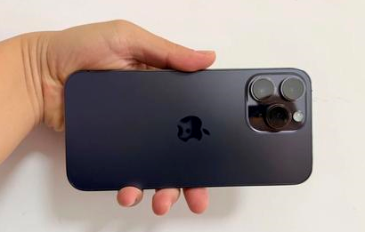 贞丰苹果维修点分享iPhone 14 Pro Max扩容实战误区 