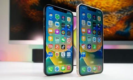 贞丰苹果维修点分享iPhone 14 Plus安全隔区与音频排错 