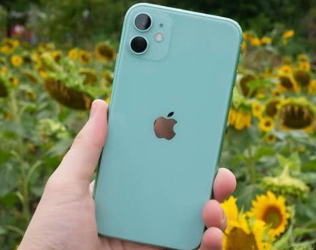 贞丰苹果维修点分享iPhone 11锁屏密码认知与使用科普 