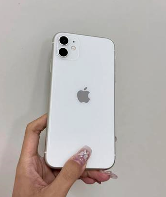 贞丰苹果维修点分享iPhone 11黑屏特殊场景解析 