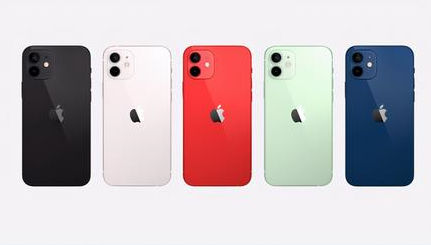 贞丰苹果维修点分享iPhone 12黑屏隐蔽故障解读 